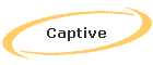 Captive